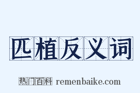 匹植反义词是什么意思的图片